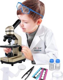 همه چیز درباره ی کشت سلول 